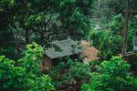 เดินป่า 5 วัน 4 คืน ที่แม่ฮ่องสอน Doister Hardtrek