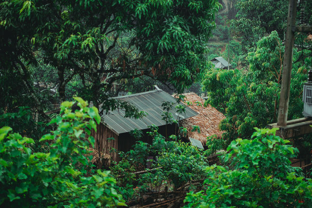 เดินป่า 5 วัน 4 คืน ที่แม่ฮ่องสอน Doister Hardtrek