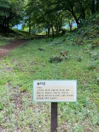 💜🌟제주시 애월 이끼숲소길 카페