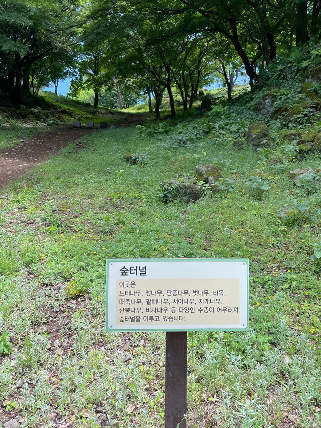 💜🌟제주시 애월 이끼숲소길 카페