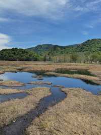 【尾瀬国立公園】湿原と高山植物に癒される、静寂のハイキング旅