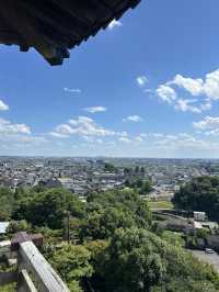 Visit one of Japan’s five National Treasure Castles