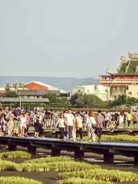 🌅 **Gaomei Wetland Day Trip Guide**