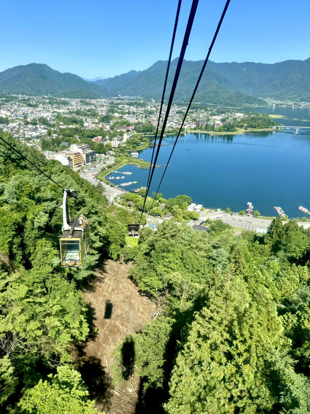 🌸⛩️ 3D2N Mt. Fuji, Hakone & Kamakura Scenic Escape! 🗻🚞✨