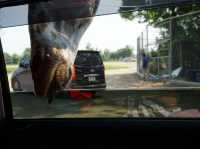 Safari Park Kanchanaburi | ซาฟารีปาร์ค กาญจนบุรี