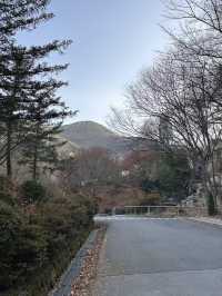 【城市中的空中綠洲🌿】搭纜車上山看夜景！大邱前山公園讓人戀愛的視角❤️