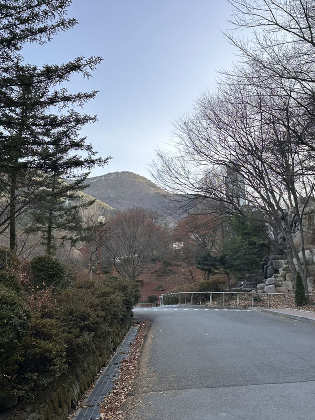 【城市中的空中綠洲🌿】搭纜車上山看夜景！大邱前山公園讓人戀愛的視角❤️