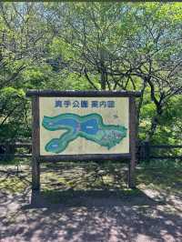 🌳三重｜真手公園（多気郡大台町）