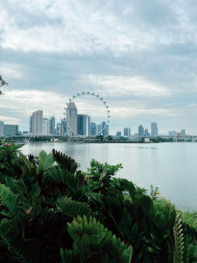 Discover the Beauty of the Cloud Forest Dome and Its Scenic Surroundings 