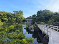 獨旅 🏯 高雄直飛名古屋