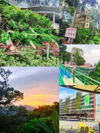 Find Your Perfect View: A Serene & Scenic Getaway at Penang Hill"