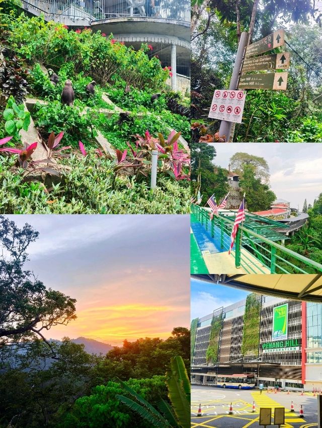 Find Your Perfect View: A Serene & Scenic Getaway at Penang Hill"