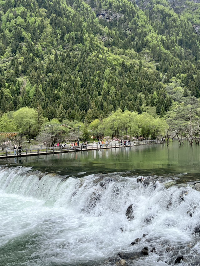 Everything You Need to Know for Visiting Shuangqiaogou at Mount Siguniang