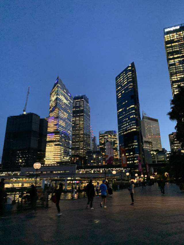 살고싶은 도시 시드니 🇦🇺🐨