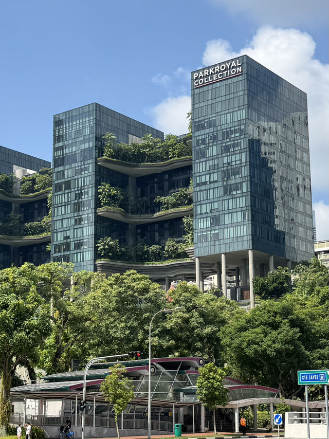 싱가포르에 가야하는 이유 ❤️🇸🇬