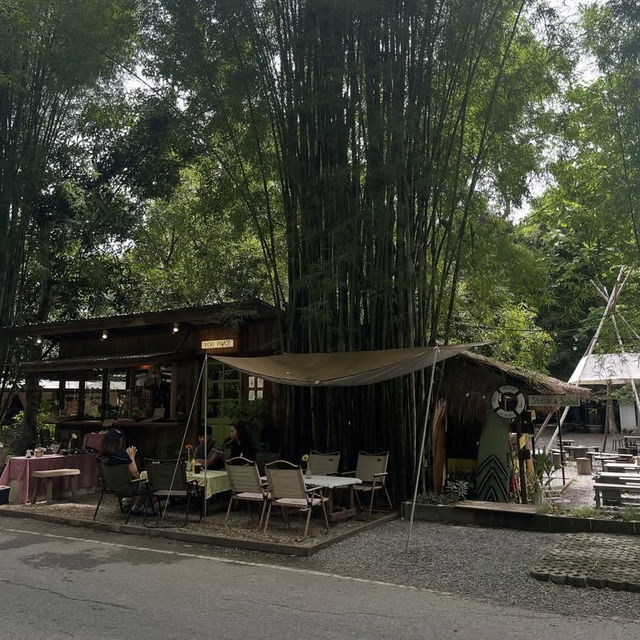 🌲 Yoo Pha – อยู่ป่า แต่ไม่โดดเดี่ยว  