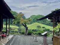 Kumamoto's Suizenji Garden: Matcha-Filled Even in the Rain! ☔️🍃