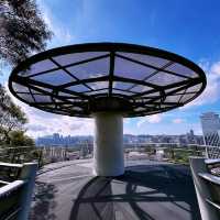 🌆 Xiamen’s Sky High Observatory: Where the City, Mountains & Sea Collide!"