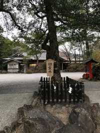 鹿兒島-霧島神宮