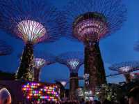 Garden by the Bay Lightshow 