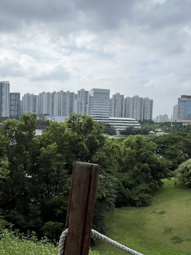 공원의 이모저모