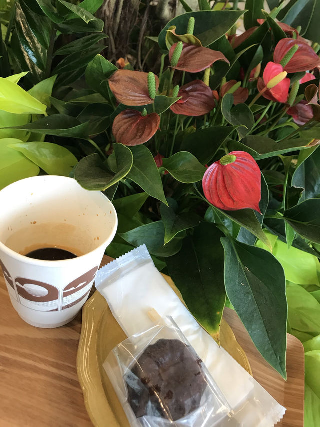 【UNI COFFEE ROASTERY 横浜巡り】