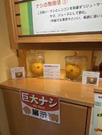 鳥取-二十世紀梨紀念館