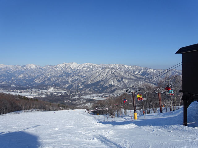 ❄️ Snowy Peaks & Scenic Treats: A Family Day Out at Hakuba Mountain Harbor