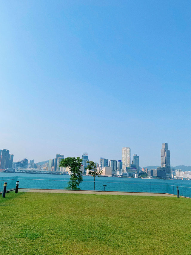 Victoria Harbour’s Ultimate Chill Zone 🌤️