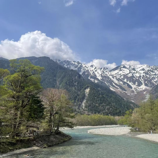 Spring Whispers with Monkeys and Hidden Bears – Kamikōchi