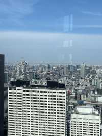 🏢【新宿都庁展望台】無料で東京の絶景を楽しめる穴場スポット！