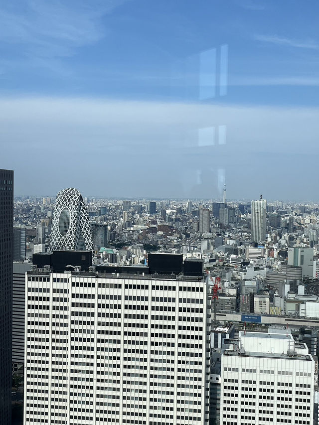 🏢【新宿都庁展望台】無料で東京の絶景を楽しめる穴場スポット！