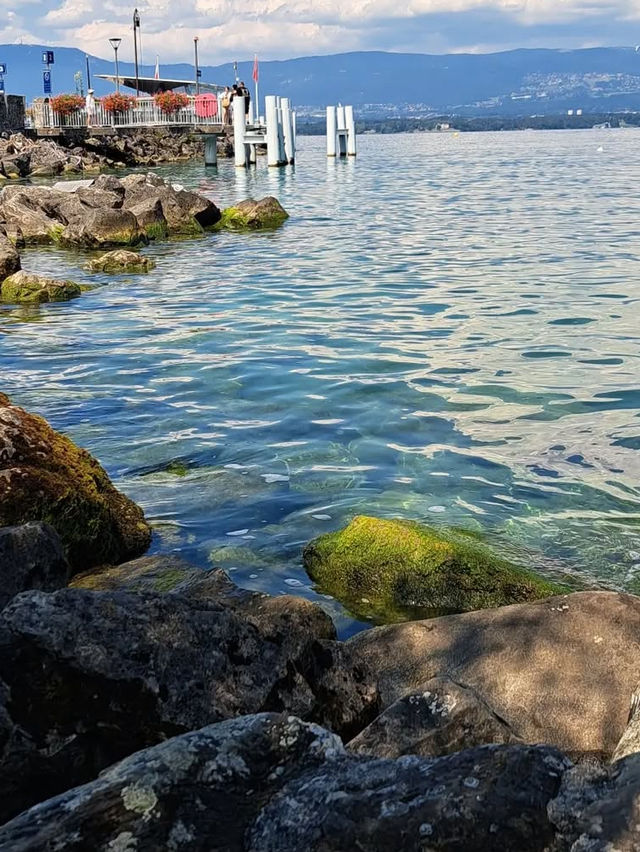 【湖畔の優雅なひととき】ジュネーブ湖で心ほどけるスイス旅🚤🌿