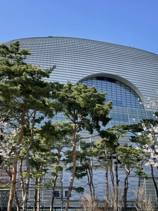 在樂天世界購物中心附近度過特別的一天