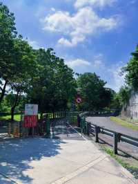 🌿桃園都市綠洲輕旅行｜茄苳溪自行車道：高架下的靜謐綠徑，漫步溪畔小秘境