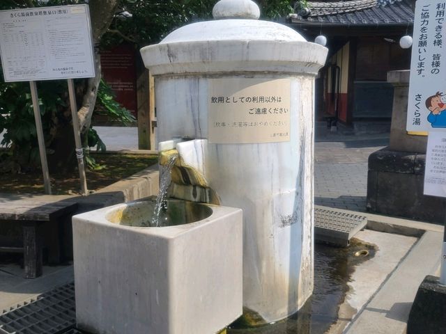 구마모토의 소교토 야마가온천~!