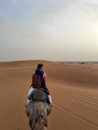 🐪心を奪われる大自然！モロッコで出会う絶景2選【サハラ砂漠＆トドラ渓谷】🇲🇦⛰️🌅
