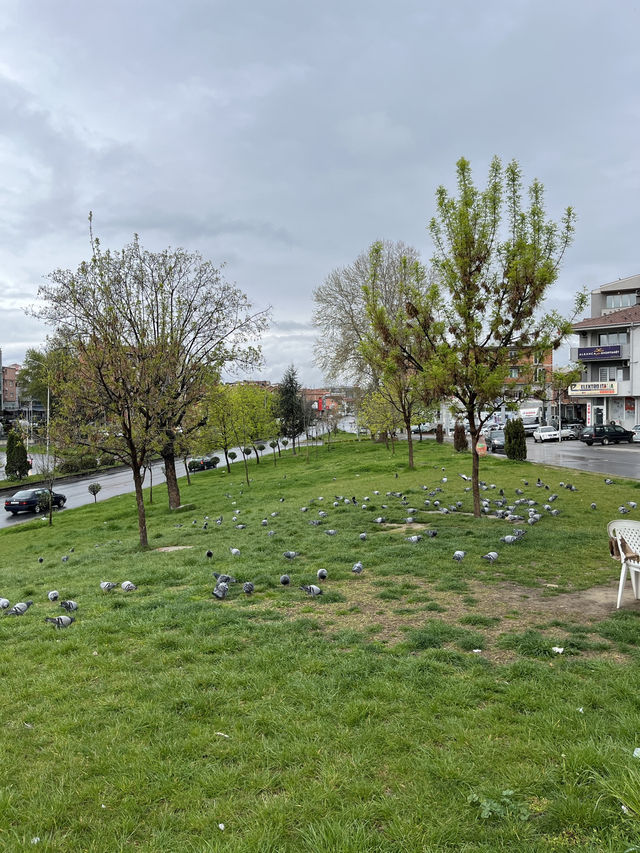 🇲🇰 Skopje Travel Guide – What to See, Eat & Know in North Macedonia's Capital
