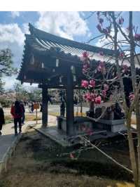 @ SANJUSANGENDO TEMPLE IN KYOTO.