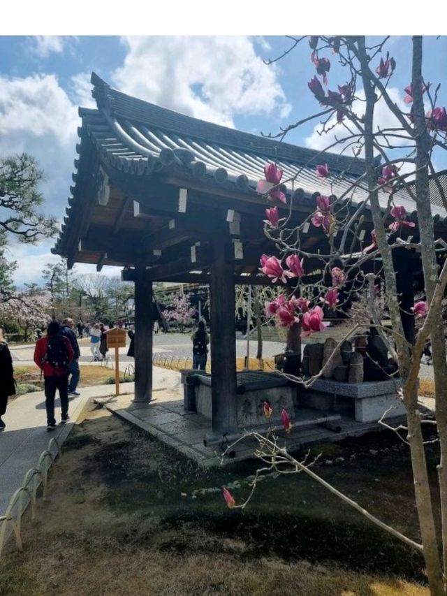 @ SANJUSANGENDO TEMPLE IN KYOTO.