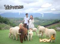 เที่ยวน่าน 3 วัน  จุดเช็กอินที่ห้ามพลาด