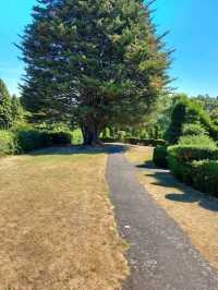 Alexandra Gardens 