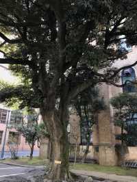 【東京田町 慶應大学三田キャンパスと慶應仲通り商店街】