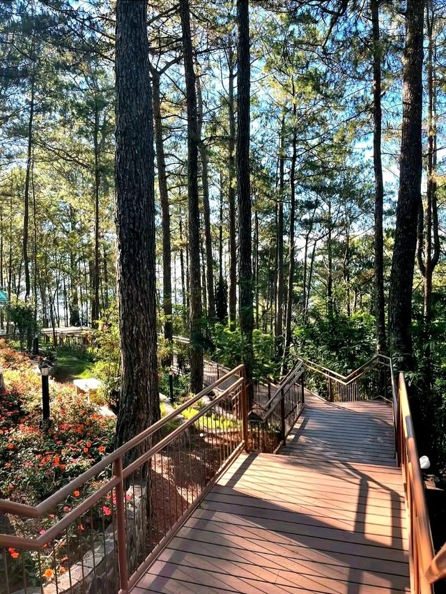 The Manor Hotel: A Peaceful Stay in Baguio