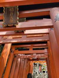 ⛩️🔥⛰️ Fushimi Inari Hike – From 1,000 Gates to the Mountain Peak