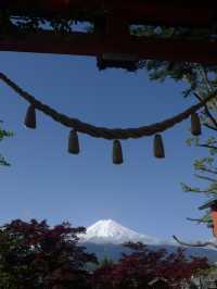 🌸 富士山下的靜謐時光｜新倉富士淺間神社・忠靈塔 🗻⛩️
