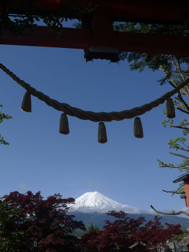 🌸 富士山下的靜謐時光｜新倉富士淺間神社・忠靈塔 🗻⛩️