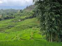 An authentic Vietnamese Village and breathtaking views 