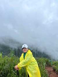 เดินป่าปลายฝนต้องภูสอยดาวววว : (สอยเธอไม่ได้ ไปสอยดาวล่ะกัน 😆)