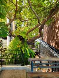 Joe Craft Cafe'  จิบกาแฟในธรรมชาติ